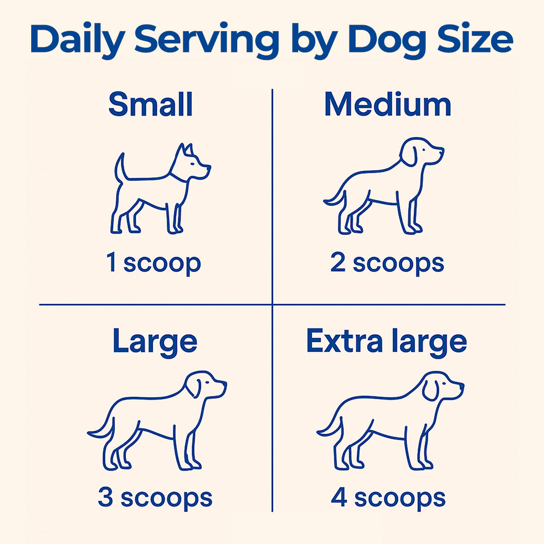 13 in 1 Multivitamins for Dogs